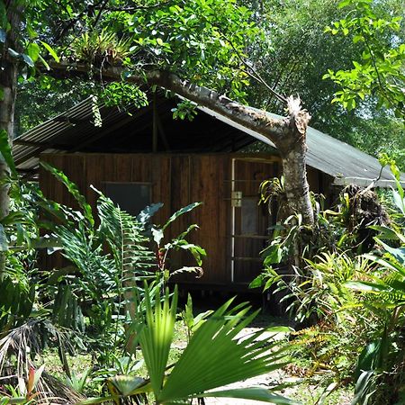 Archidona Hakuna Matata Amazon Lodge מראה חיצוני תמונה