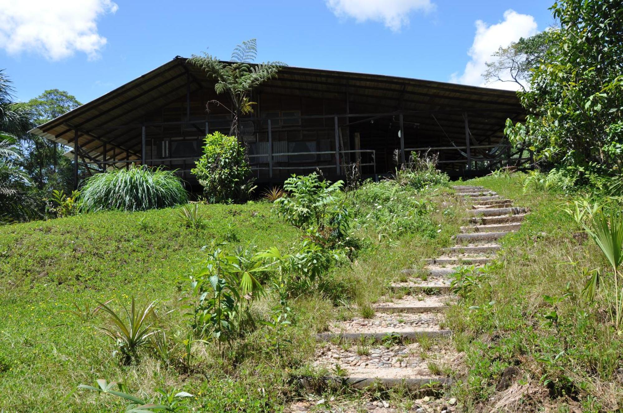 Archidona Hakuna Matata Amazon Lodge מראה חיצוני תמונה