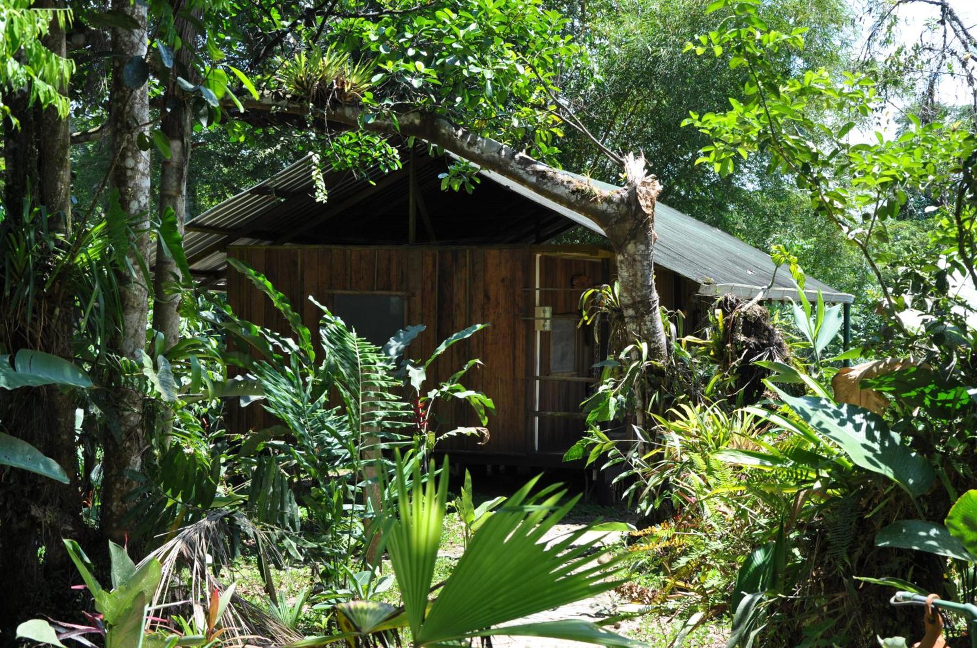 Archidona Hakuna Matata Amazon Lodge מראה חיצוני תמונה