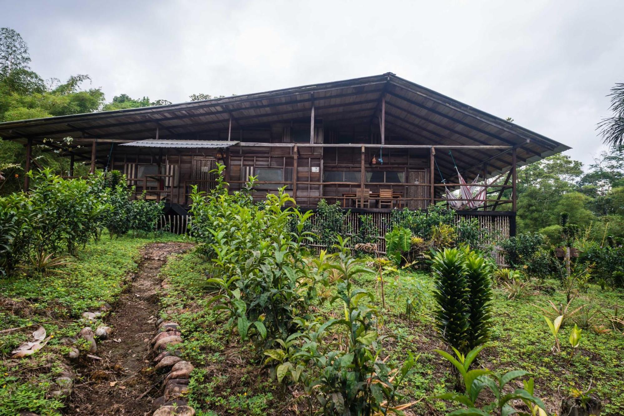 Archidona Hakuna Matata Amazon Lodge חדר תמונה