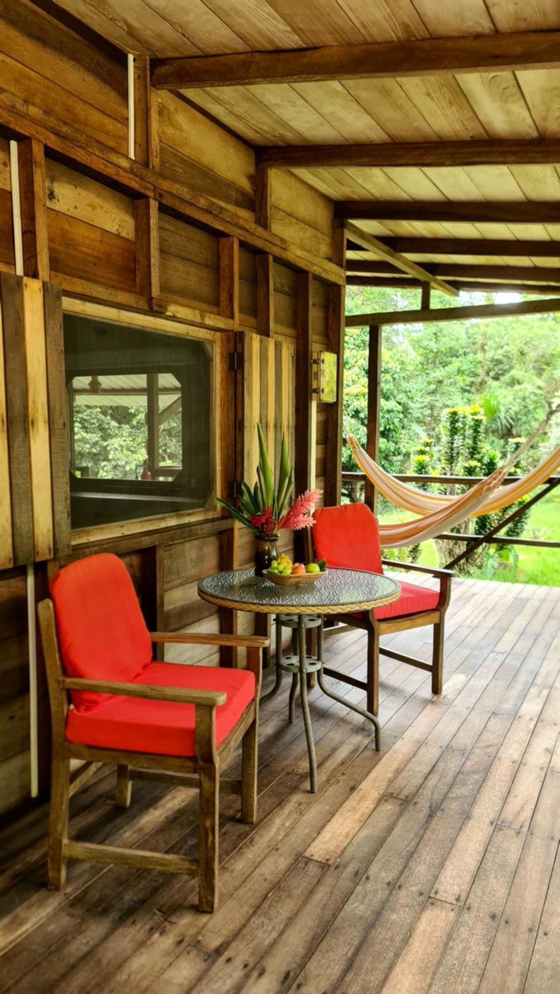 Archidona Hakuna Matata Amazon Lodge מראה חיצוני תמונה