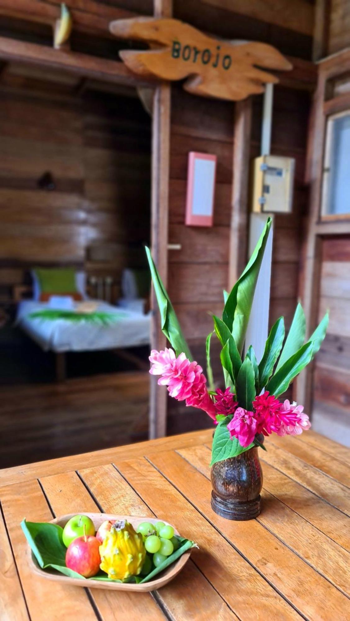 Archidona Hakuna Matata Amazon Lodge מראה חיצוני תמונה