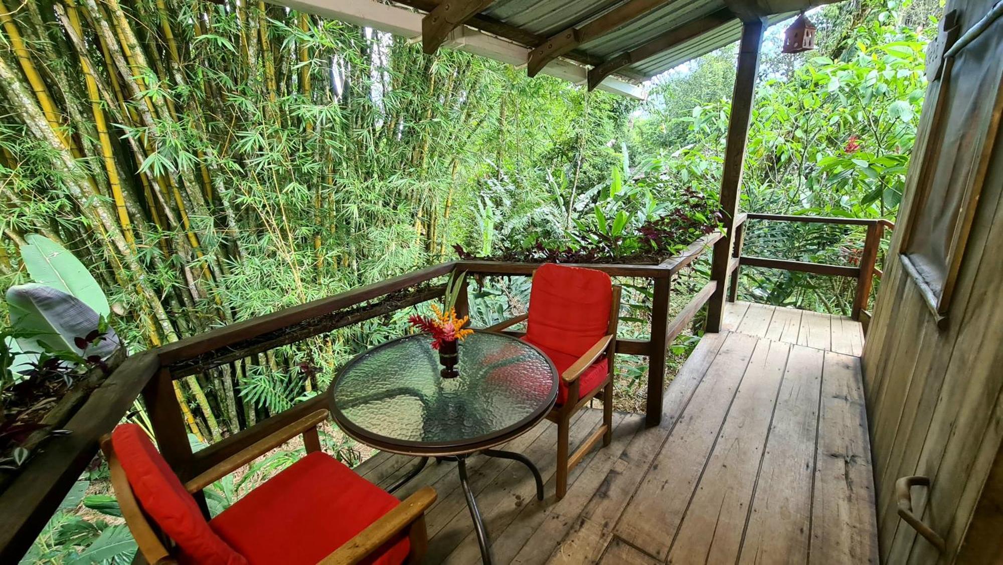 Archidona Hakuna Matata Amazon Lodge מראה חיצוני תמונה