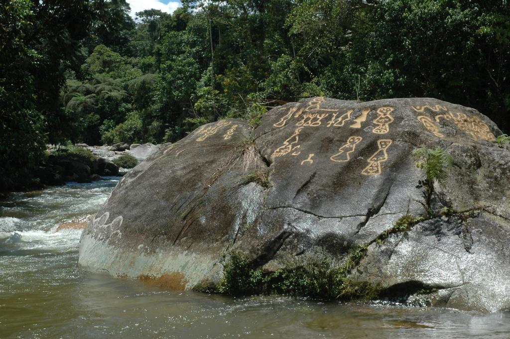 Archidona Hakuna Matata Amazon Lodge מראה חיצוני תמונה